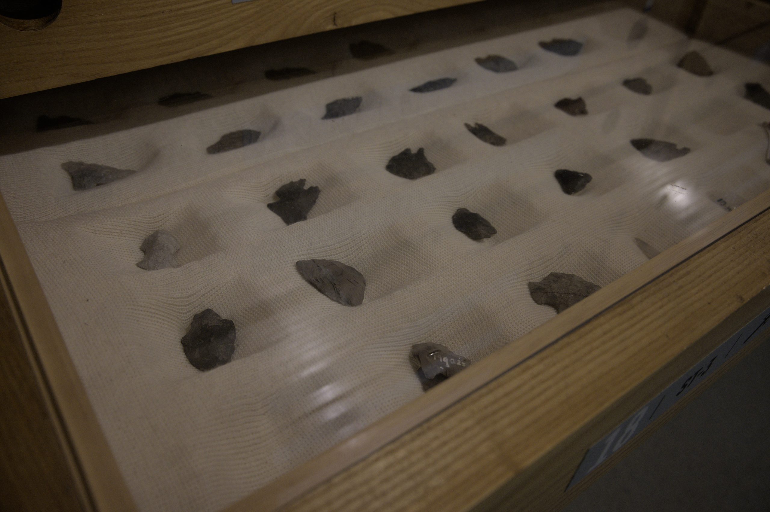 Laboratory Artifacts