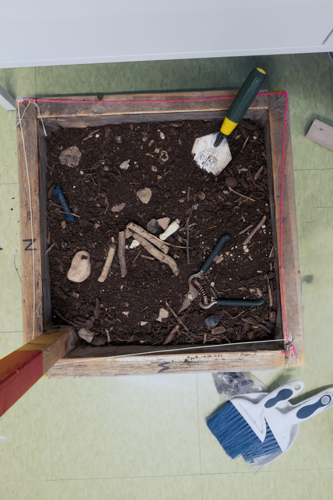 Authentic archaeological dig