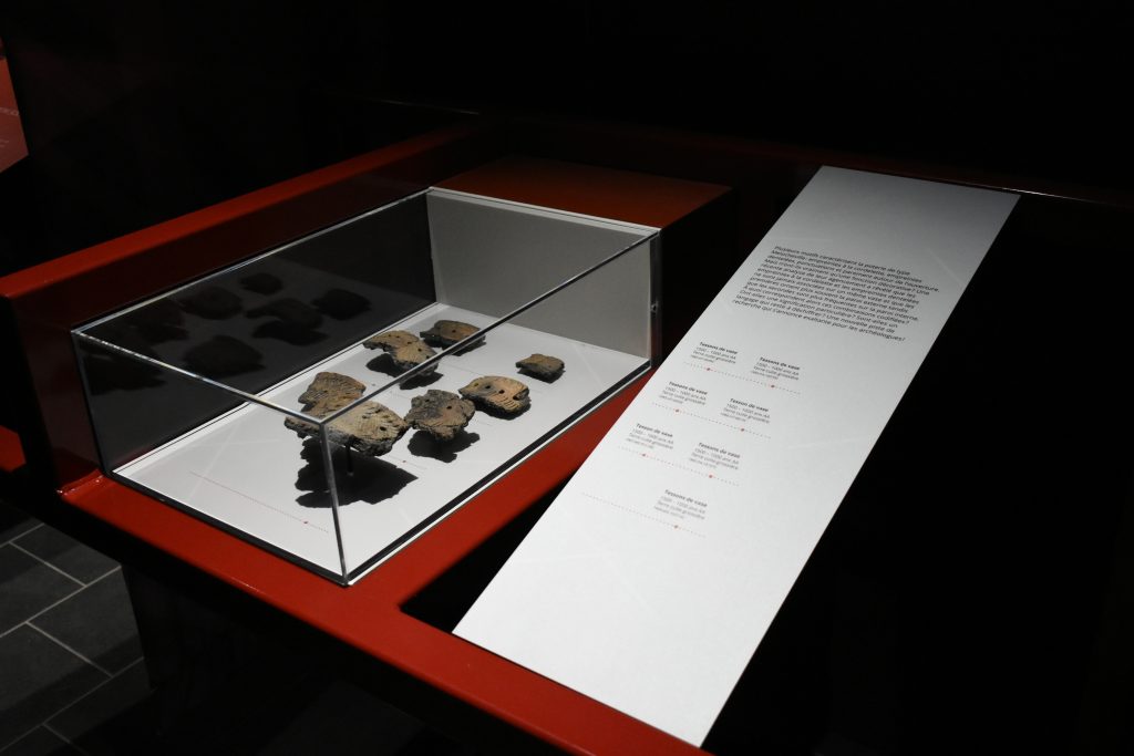 Artefacts booth in Voices from the past