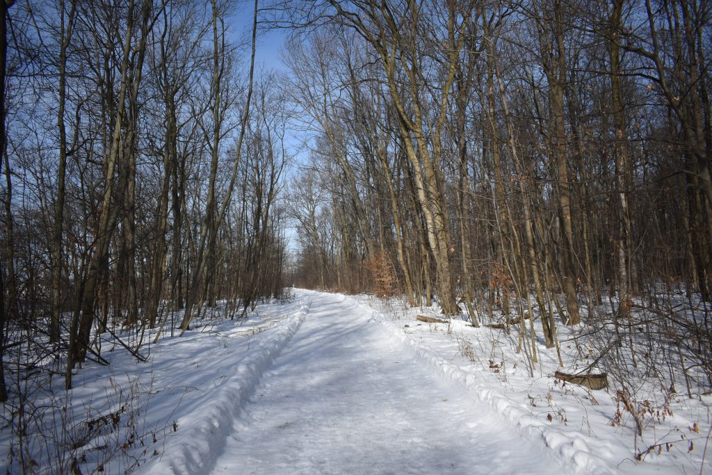 Picture of the trail