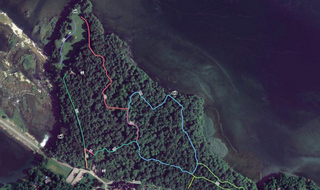 interactive map
